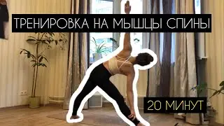 Упражнения для мышц СПИНЫ. Тренировка для всего тела и ОСАНКИ. #yoga #тренировка #осанка