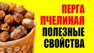 Don't buy Perga until you watch this video