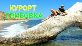 Курорт Грибовка. Люди на море. Пляжи. Базы. Леонидово. Каролино - Бугаз. Санжейка. Одесса. 