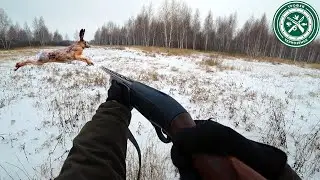 ЛЕСНОЙ ХИТРЕЦ ! Охота на зайца 2023