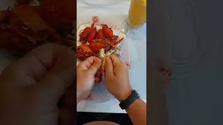 РАКИ. Как их есть ч.2