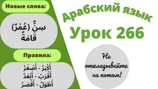 Начните сейчас! Арабский язык для начинающих. Урок 266