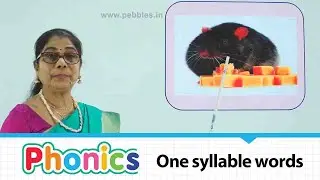 One syllable words | Easy Phonetics Video | Phonics Learning Video part-146