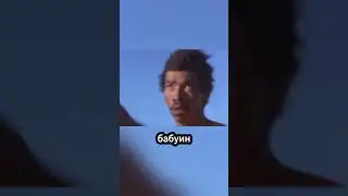 Охота за яйцом страуса: человек, бабуин и гиена в погоне! 🥚⚔️ #факты