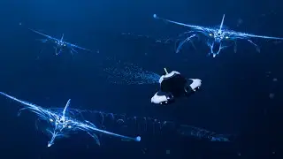 First Time In The VOID - Subnautica Animation
