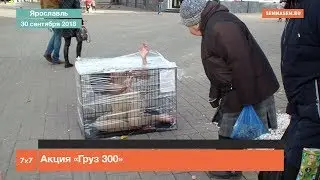 Ярославль: акция Груз 300