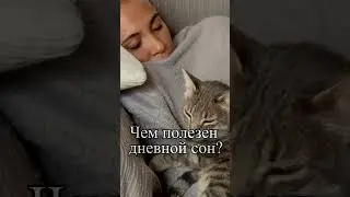 Чем полезен дневной сон?