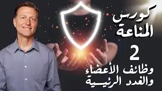 كيف يعمل الجهاز المناعي: من الغدة التيموسية إلى الميكروبيوم