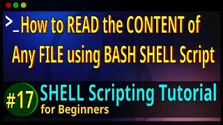 17 | How to Read the CONTENT of any FILE using WHILE LOOP in BASH SHELL Script