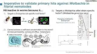 Hit triaging and advancement to Anti-Wolbachial lead compounds