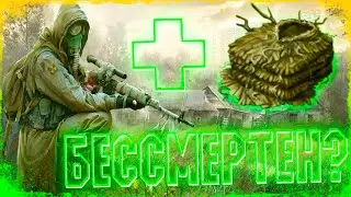 115% Уклонения! 😎 Day R Survival