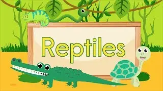 Reptile Song