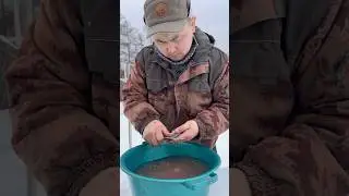 Fish soup from crucian carp🐟😋 / Уха из карася🐟😋 