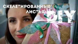 DIY. Скелетированные листья своими руками. Как заготовить? Идея для оформления подарка