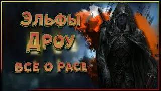 Эльфы Дроу - все о расе Темных Эльфов Фаэруна. 