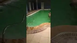 Спасибо за видео нашим гостям 😌 