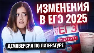 Разбор демонстрационного варианта ЕГЭ по литературе