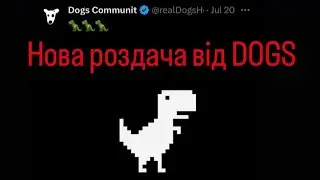 DOGS запустили новий проект! Як максимально заробити?