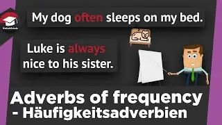 Adverbs of Frequency einfach erklärt - Häufigkeitsadverbien im Englischen - Erklärung und Beispiele!