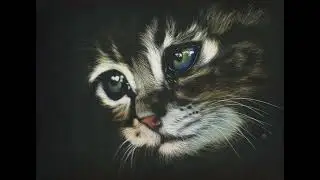 Глаза кошки