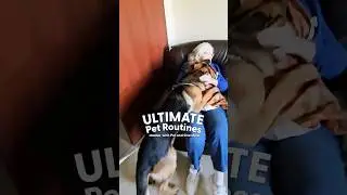 German Sheperd Loves Visiting Grandma At The Nursing Home | The Dodo