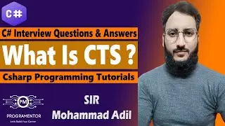 What Is CTS In C# | C# Interview Questions And Answers | Common Type System In Csharp (Hindi/Urdu)