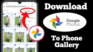 How to Download Google Photos to Phone Gallery | How to download All Google Photos in one click