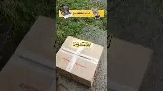 Подкинули вот таких щенков 