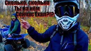 Максимальная скорость на Irbis TTR 250!!! Максималка на Ирбис ТТР 250!!!