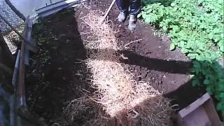 Самый легкий способ сажать картофель.The easiest way to plant potatoes.