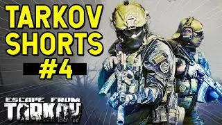 The Tarkov Experience...