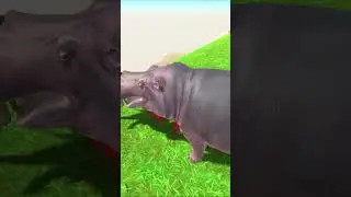 HIPPO VS TIGER - Animal Revolt Battle Simulator #battle #games #animalrevoltbattlesimulator #arbs