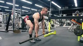 Barbell Bent Over Row