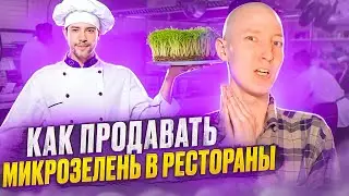 Как продать микрозелень в ресторан? Пошаговая инструкция!