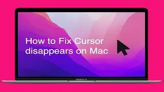 How To Fix Mouse Cursor Keeps Disappearing On You MacBook