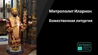 Митрополит Иларион | Прямая трансляция | Божественная Литургия | 03.12.2023