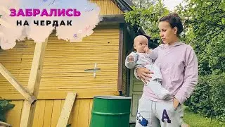 ВЛОГ: У нас завелась мышь! 😱 23.06.23