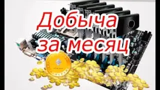 1 месяц майнинга, отчеты, доходы, потери, моя ферма!