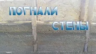 Свинарник из опилкобетона. Начали заливать стены