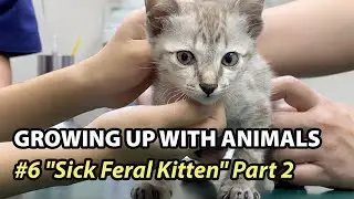 Growing Up with Animals #6 