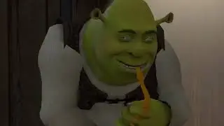 Sherk musique wtf
