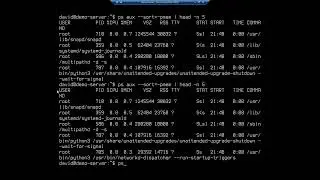 Viewing and managing processes on Ubuntu Server