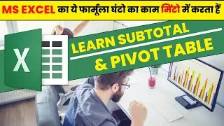 Learn Subtotal || Pivot Table In MS Excel | How to Use Pivot Table with Big Data in Excel ||