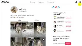 Как понять что ваш аккаунт TikTok в теневом бане