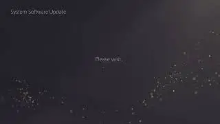 PS5 10.40 With Debug Settings Downgrading To 4.03 (Testkit)
