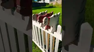 Хоббихорсинг. Самый ”загадочный