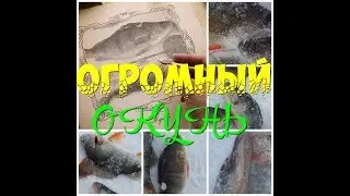 ОГРОМНЫЙ ОКУНЬ НА БЛЕСНУ ПЕРВЫЙ ЛЕД 