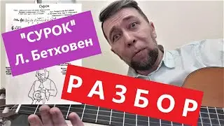 РАЗБОР. СУРОК - НОТЫ+ТАБЫ.