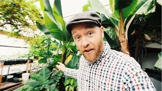 He's Growing BANANAS at 7,200 Feet (In COLORADO)!