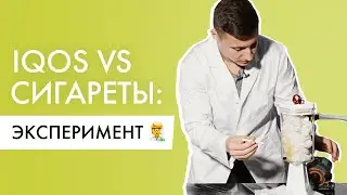 Что хуже — Айкос или сигареты? Эксперимент